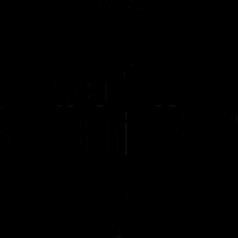 Web & IT Genius Logo - mobile